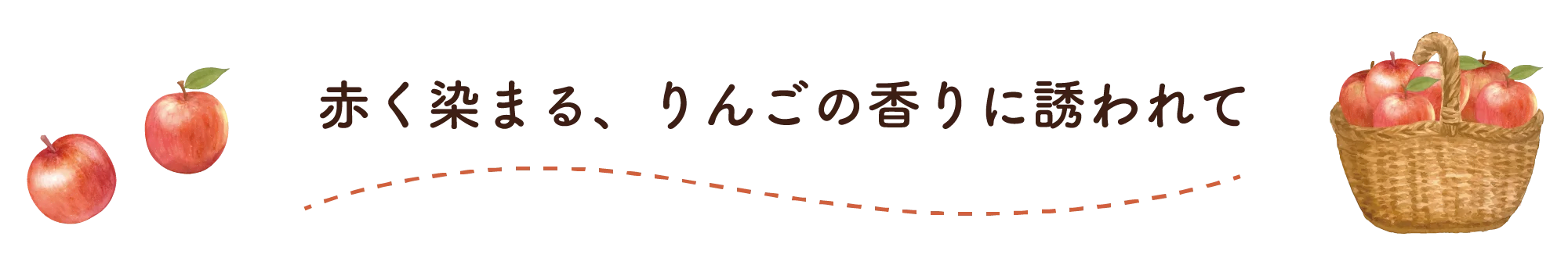 赤く染まる、りんごの香りに誘われて